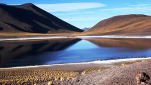 Lagunas Altiplánicas y Mirador Piedras Rojas