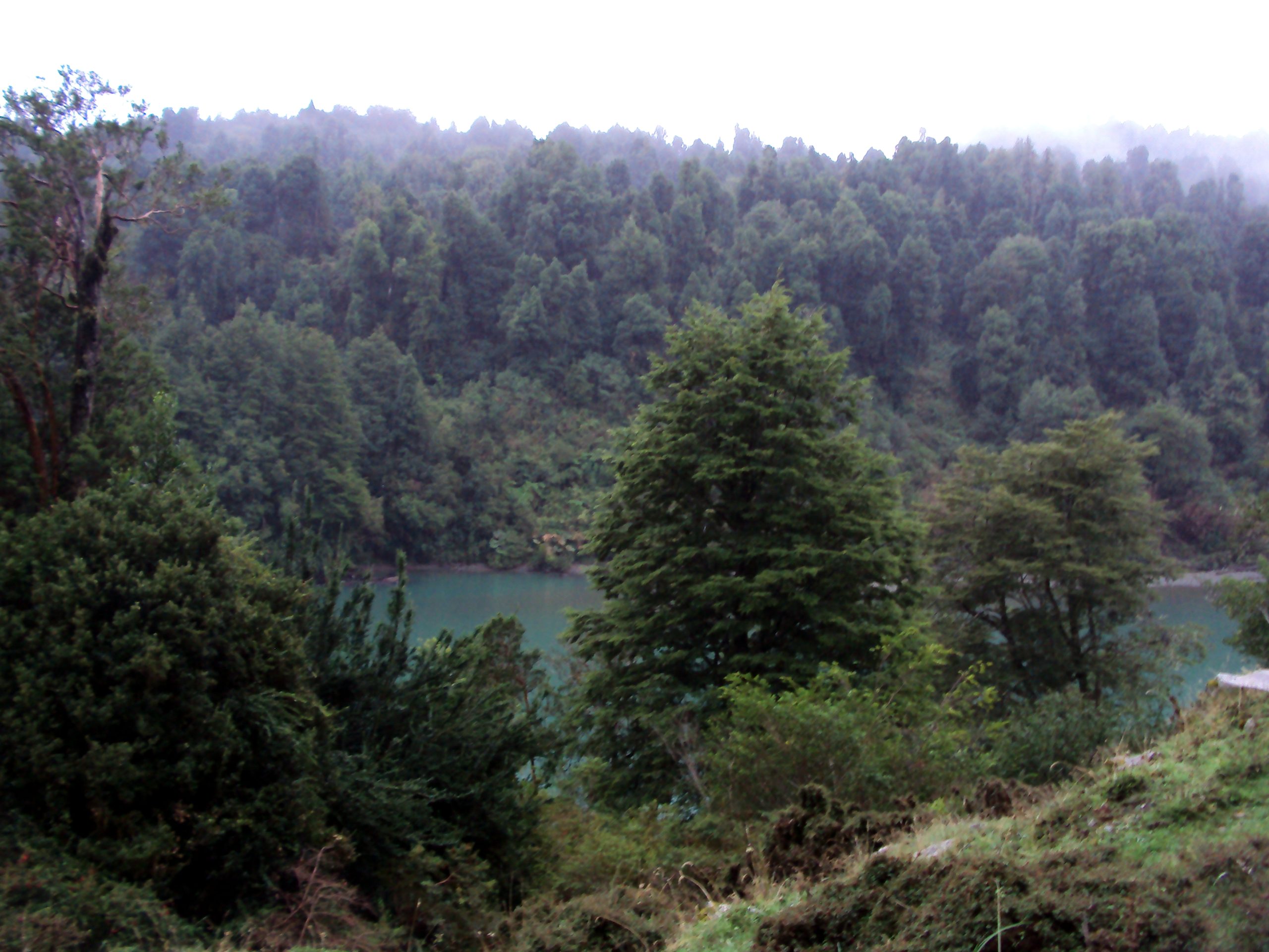 La Junta, Carretera Austral