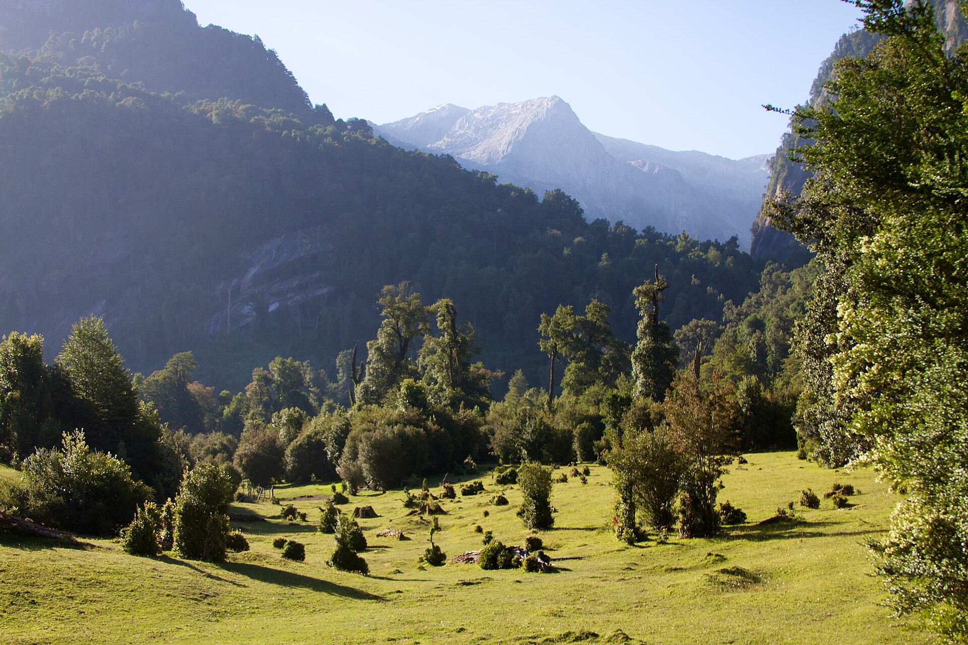 lugar-coihue-columpios