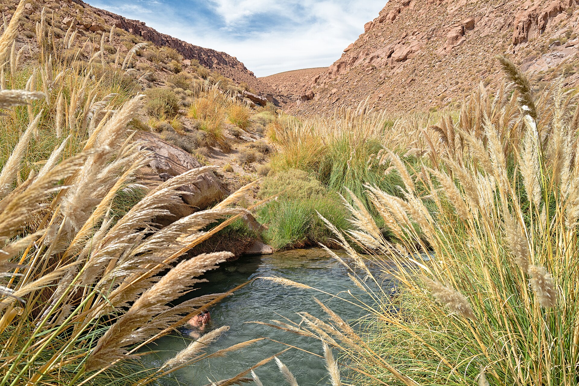 Termas de Puritama, San Pedro de Atacama. Foto: Otávio Nogueira (CC BY 2.0, Wikimedia Commons)