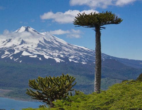Paisaje de La Araucanía