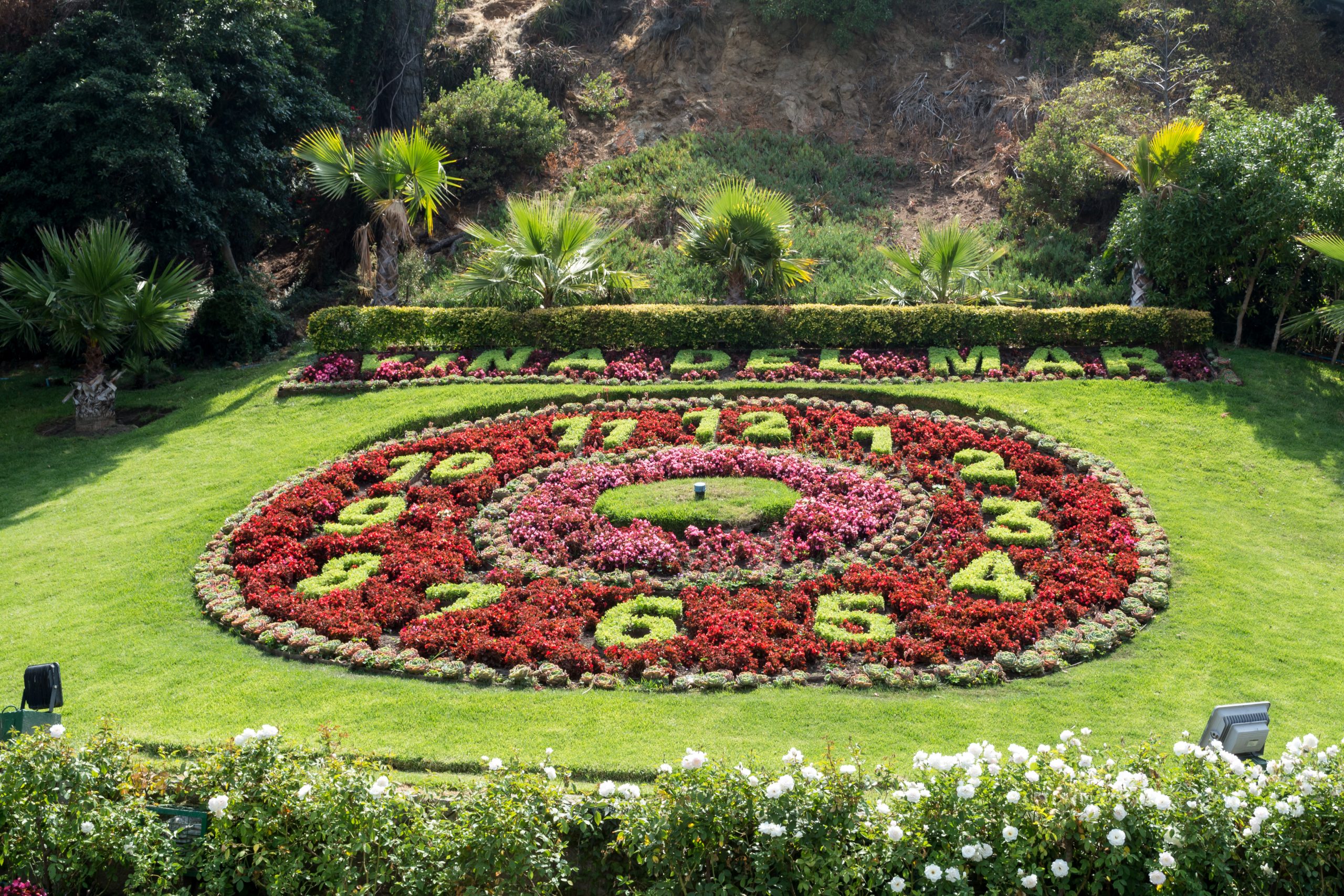 Reloj de Flores, Viña del Mar