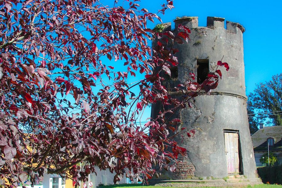 Torreón Los Canelos, Valdivia